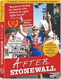 cover of After Stonewall