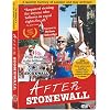 After Stonewall