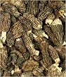 Morel Mushrooms
