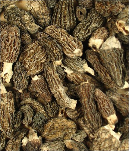 Childrens Toyshop  Gourmet Food : Morel Mushrooms 2 oz.