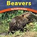 Beavers: Big-Toothed Builders (Wild World of Animals)