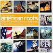 Beginner's Guide to American Roots
