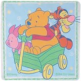Toys : The First Years Winnie the Pooh Sun screen