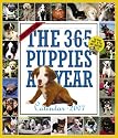 The 365 Puppies-A-Year Calendar 2007