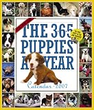 cover of The 365 Puppies-A-Year Calendar 2007