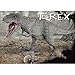 Pegasus Hobbies T-Rex Model Kit