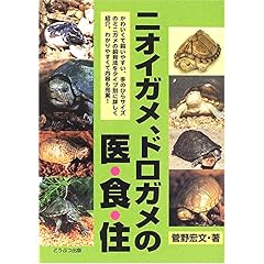 【クリックで詳細表示】ニオイガメ、ドロガメの医・食・住 [単行本]