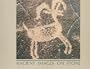 Ancient Images on Stone: Rock Art of the Californias