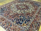 10'0 x 12'7 Red Persian Hand Knotted Wool Bakhtiar Rug