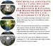 Book The Special Generate Extra Cash, Success Principles and Accounting & Finance for High Protein Diet Products On-line Businesses 3 CD Pack