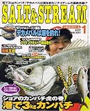 SALT & STREAM (ソルトアンドストリーム) 2007年 01月号 [雑誌]