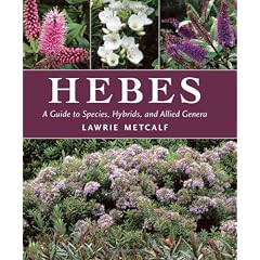Hebes: A Guide to Species, Hybrids and Allied Genera