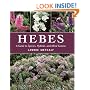 Hebes: A Guide to Species, Hybrids and Allied Genera
