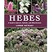 Hebes: A Guide to Species, Hybrids and Allied Genera