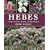Hebes: A Guide to Species, Hybrids and Allied Genera