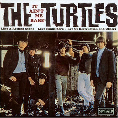 Turtles - It Ain