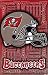 Tampa Bay Buccaneers (Logo) Sports Poster Print - 24x36