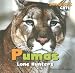 Pumas: