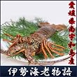 愛媛県南宇和島産「豪華活海の幸ギフト 国産伊勢海老物語（国産伊勢海老・アワビ・サザエ・扇貝・真珠貝）」プレゼントギフト贈り物お歳暮