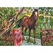 Paint By Number Kit 12-Inch by 15-1/2-Inch, Horse