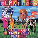 Welcome Wonderful World