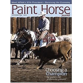 Paint Horse Journal by