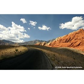Tamron Lens for Digital SLR Cameras