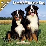 Bernese Mountain Dog 2011 Wall Calendar #10014-11