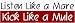 Listen Like a Mare Kick Like a Mule Large Bumper Sticker
