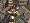 Baldur's Gate Compilation (PC DVD)