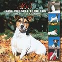 Jack Russell Terriers 365 Days 2007 Calendar