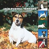 Jack Russell Terriers 365 Days 2007 Calendar