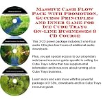 Massive Cash Flow Pack with Promotion, Success Principles and Inner Game for Ice Cube Trays On-line Businesses 3 CD Course book cover