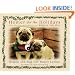 Homer For The Holidays: The Further Adventures of Wilson the Pug