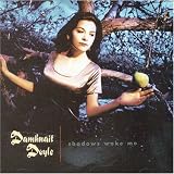 Shadows Wake Me an album by Damhnait Doyle