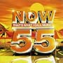 Now That's What I Call Music Vol. 55