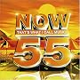 Now That's What I Call Music Vol. 55