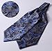 SetSense Men's Paisley Jacquard Woven Self Cravat Tie Ascot Set