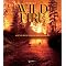 Fighting Wildfires! Tales from the rescue personel