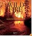 Wildfire: A Century of Failed Forest Policy