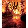 Wildfire: A Century of Failed Forest Policy