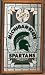Michigan State Stained Glass Wall Clock