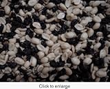 Raisin Nut Mix
