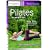 Pilates for Weight Loss