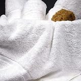 Riegel Gold Collection Hotel Hand Towels - 12 pk.