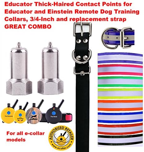 E COLLAR Educator Educator E Collar Neon Pink Reflective Replacement Strap and T