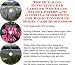 Book The Guerilla Marketing, Building Effective Lead Capture Web Pages, Sales Letters for Radio Controled Model Cars Businesses