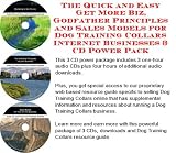 The Quick and Easy Get More Biz, Godfather Principles and Sales Models for Dog Training Collars Internet Businesses 3 CD Power Pack