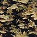 Williamsburg 55100491 Canton Garden Wallpaper, Jewel Tone, 20.5-Inch Wide