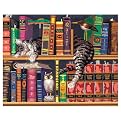 Paint By Number Kit 20"X16"-Frederi